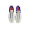 Nike Vertebrae SB Light Iron Ore Cosmic Clay - FD4691-102