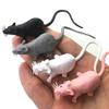 10pcs Prank Mini Mouse Models and White Spider Props Horror Parody Halloween April Fool's Day Toys Plastic Animal Images