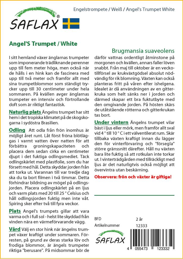 SAFLAX Angel's Trumpet White - 10 Seeds - Brugmansia Suaveolens