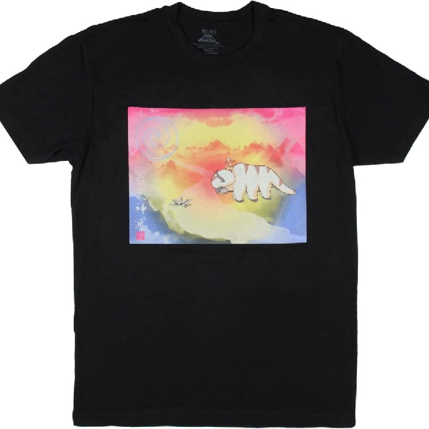 

Аватар: Легенда об Аанге Мужская футболка Долина полета Аппа Аанг Момо XXXXXL