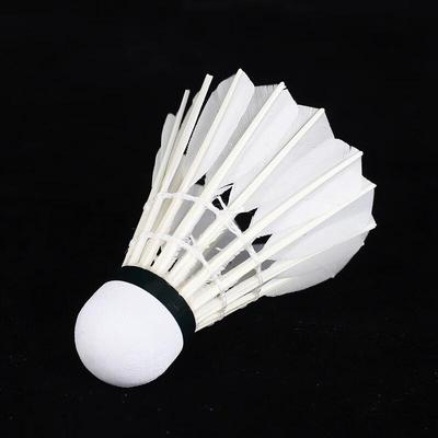 Bedminton – Badmintonové míčky