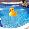 Cartoon Duck Floating Pool Dispenser Thermometer Kit Portable Pools Cleaning for Indoor Outdoor Garden Pools Cleaning