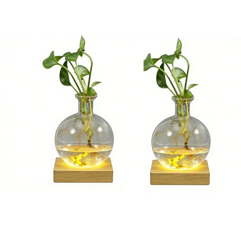 LED Illuminated Hydroponic Glass Vases For Visible Plant Root Growth Display And Ambients Night Light Decoration Home Office