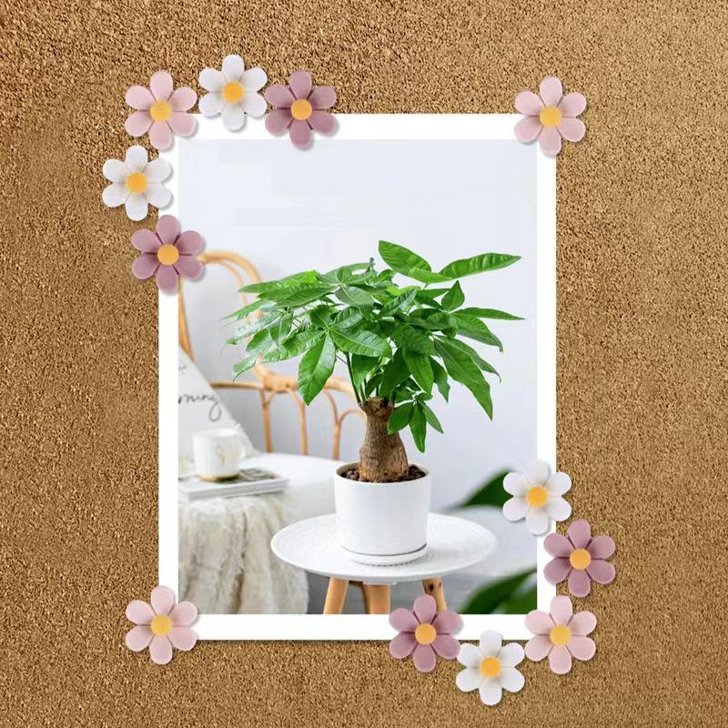 30pcs 3D Flower Pushpins for Decorative Photo Wall & Message Board
