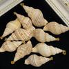 10Pcs Natural Small Triton Shell Charms 20×40~25×53mm Striped Seashell Pendants With Gold Bail Beach DIY Jewelry