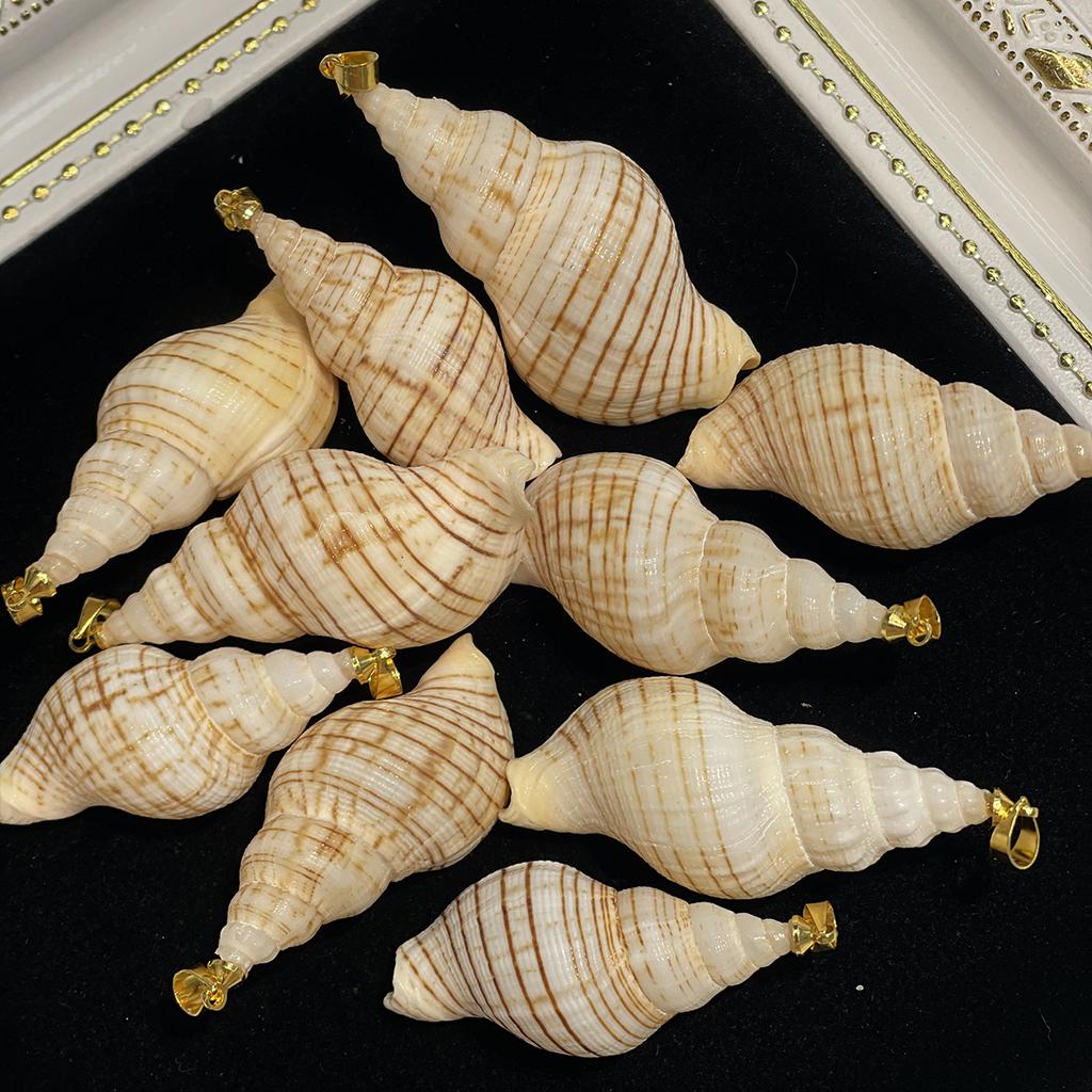 10Pcs Natural Small Triton Shell Charms 20×40~25×53mm Striped Seashell Pendants With Gold Bail Beach DIY Jewelry