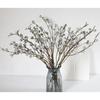 Yunnan Eucalyptus Dried Flowers with Small White Fruits - Medium and Large Diamond Eucalyptus Fruits for Home Decor.
