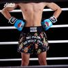 Muay Thai Shorts Kinder Erwachsene Boxen Training Kampf Ausrüstung Fitnessstudio Kleidung Schnelltrocknend Bedruckt Kampf
