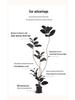 Luxurious Black Gold Ficus Elastica Artificial Tree: Indoor Ornament and Floor Decoration