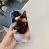 PP22 Cute Siamese Cat Phone Case for LG K22 K30 K40 K40S K41 K42 K50 K50S K51 K51S K52 K61 K62 K71 K92 Q60 Q61 V40 V50 V60