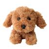 Sun Lemon Lap Dog Toy Poodle BR SS 15 X 26 X 12cm Plush Animal Cute Dog P-8082