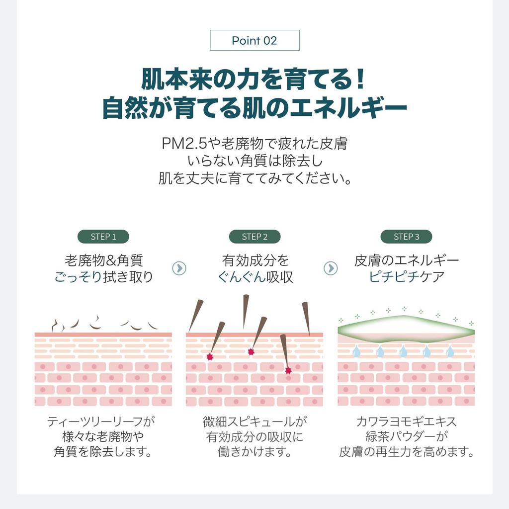 WellDerma [Official WellDerma] Tea Tree & Mugwort Herb Toxic Peeling Pack 150g [Includes Brush]