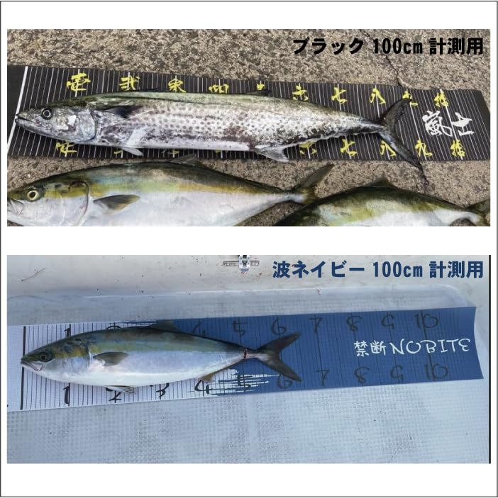 Fishing Measure 100cm [scale 110cm] Fishing Measure Black