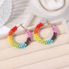 Original Bohemian Style Glass Seed Bead Winding Earrings for Women, Cute Little Earrings, Exquisite Handmade Tassel Rainbow