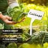 50pcs Heavy-Duty Waterproof Garden Plant Labels T-Shaped with Writing Surface for Herbs Vegetables Flowers Indoor/Outdoor Garden
