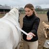Equestrian Horse Weight & Height Tape Measuring Ruler for Body Condition, Stable Ranch Farm Tool, Racing Health Care Equine