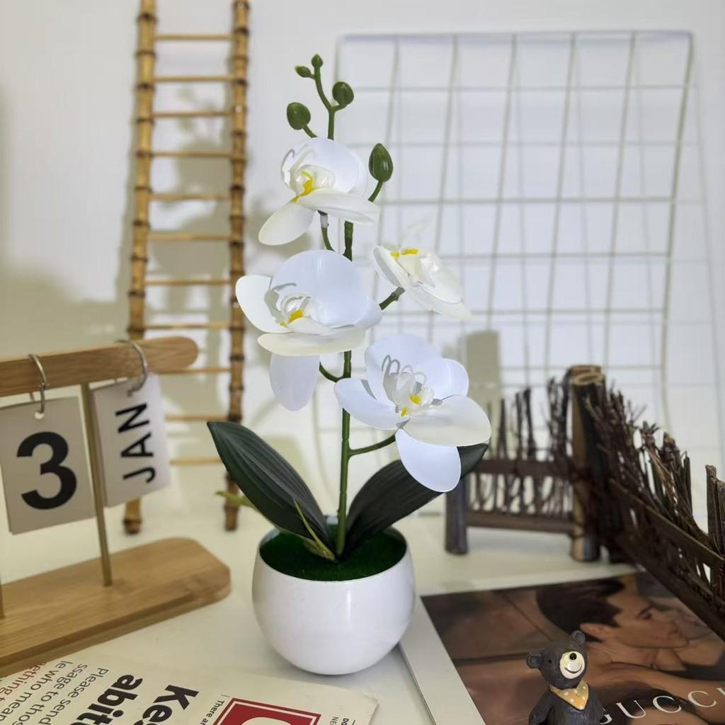 Phalaenopsis Basin Artificial Potted Plant For Home Office Decoration Wedding