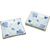 Arita Ware Shinmine Kiln Ivy Grape Design Square Plate Set 52441
