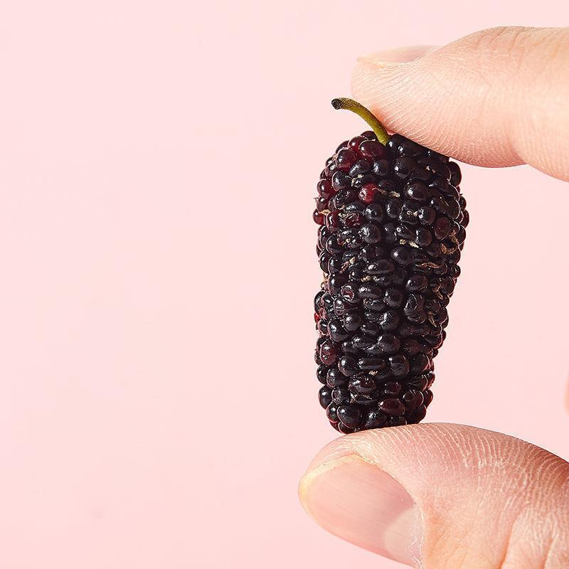 Selected Mulberry Tea