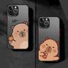 Cute Guinea Pig Funda Back Phone Cover Case for iPhone 17 Pro Max 16 Plus 13 Mini Air 7 8 SE 15 11 14 12 XS XR