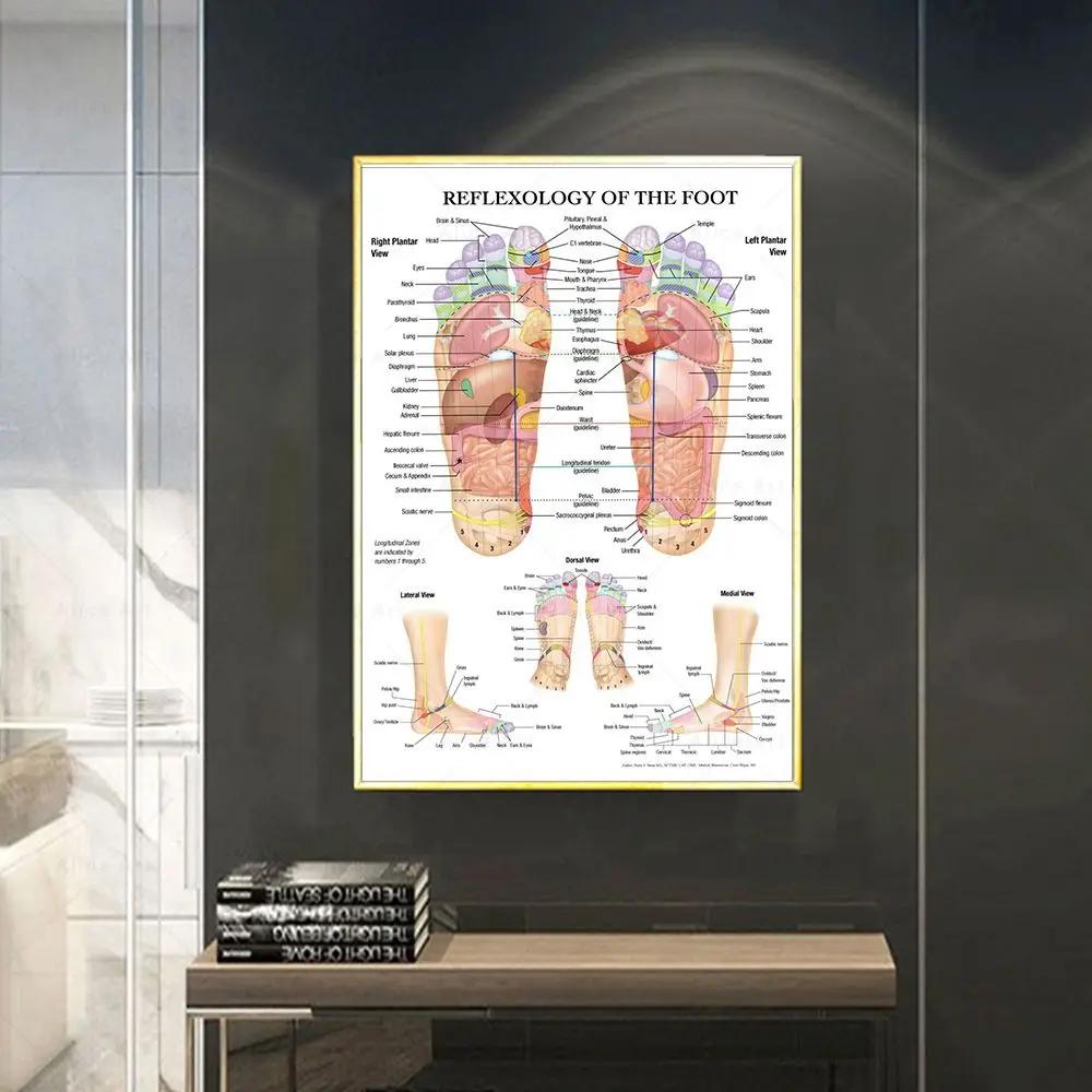Scandinavian Simple Wall Art Acupuncture Points Diagram Anatomy Foot Reflexology Poster Print Home Bedroom Living Room Decor No Frame