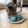 Non-Slip Suction Base Cat Automatic Water Dispenser Large Capacity Cat Water Feeder  Outdoor