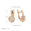 Simple  Rose Gold Color Dangle Earrings Women Fashion Natural Zircon Accessories High Quality Daily Fine Jewelry