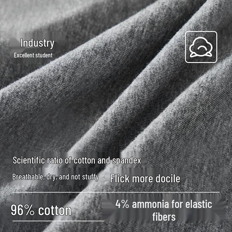 Langsha Men's Silk-Blend Antibacterial Briefs - 4 Pack