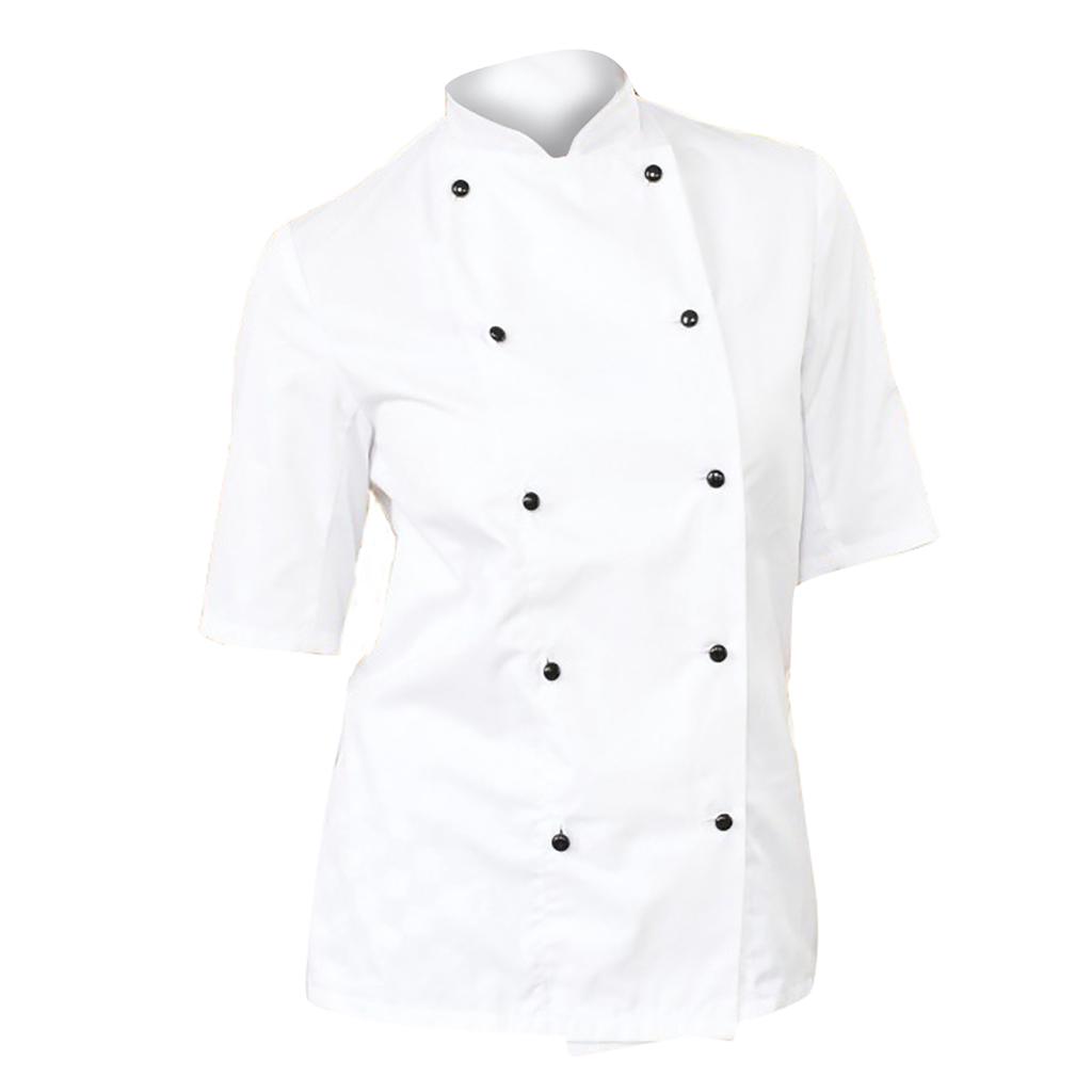 Dennys Womens/Ladies Lightweight Short Sleeve Chefs Jacket / Chefswear