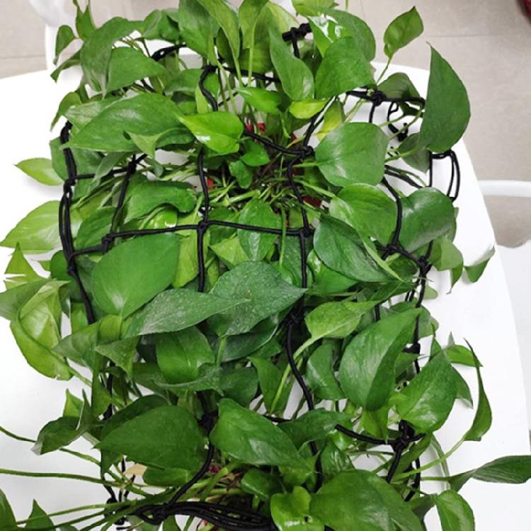 Elastic Trellis Net for Plant Net with Hook Flexible Hydroponics Support