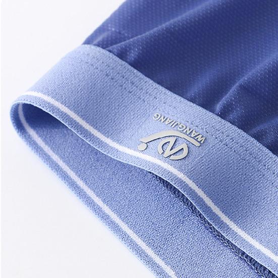 Pánské boxerské spodní prádlo Nízký elastický pas Slim Fit šortky Kalhotky Jednobarevné U-konvexní ledové hedvábné tenké kalhotky