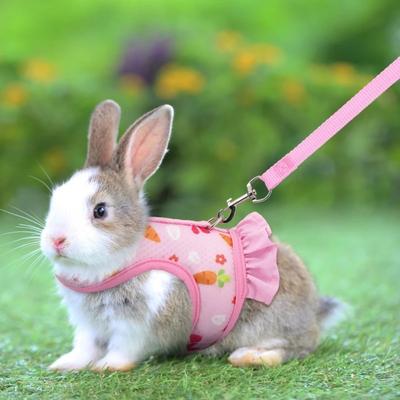 Kaninchengeschirr mit Leine Niedliche Verstellbare Schnalle Atmungsaktives Netzstoffweste Rock für Kaninchen Meerschweinchen Kleintier Zuggeschirr Anzug