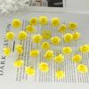 2cm Mini Wild Sunflower Daisy Mori-Style DIY Wreath Accessories