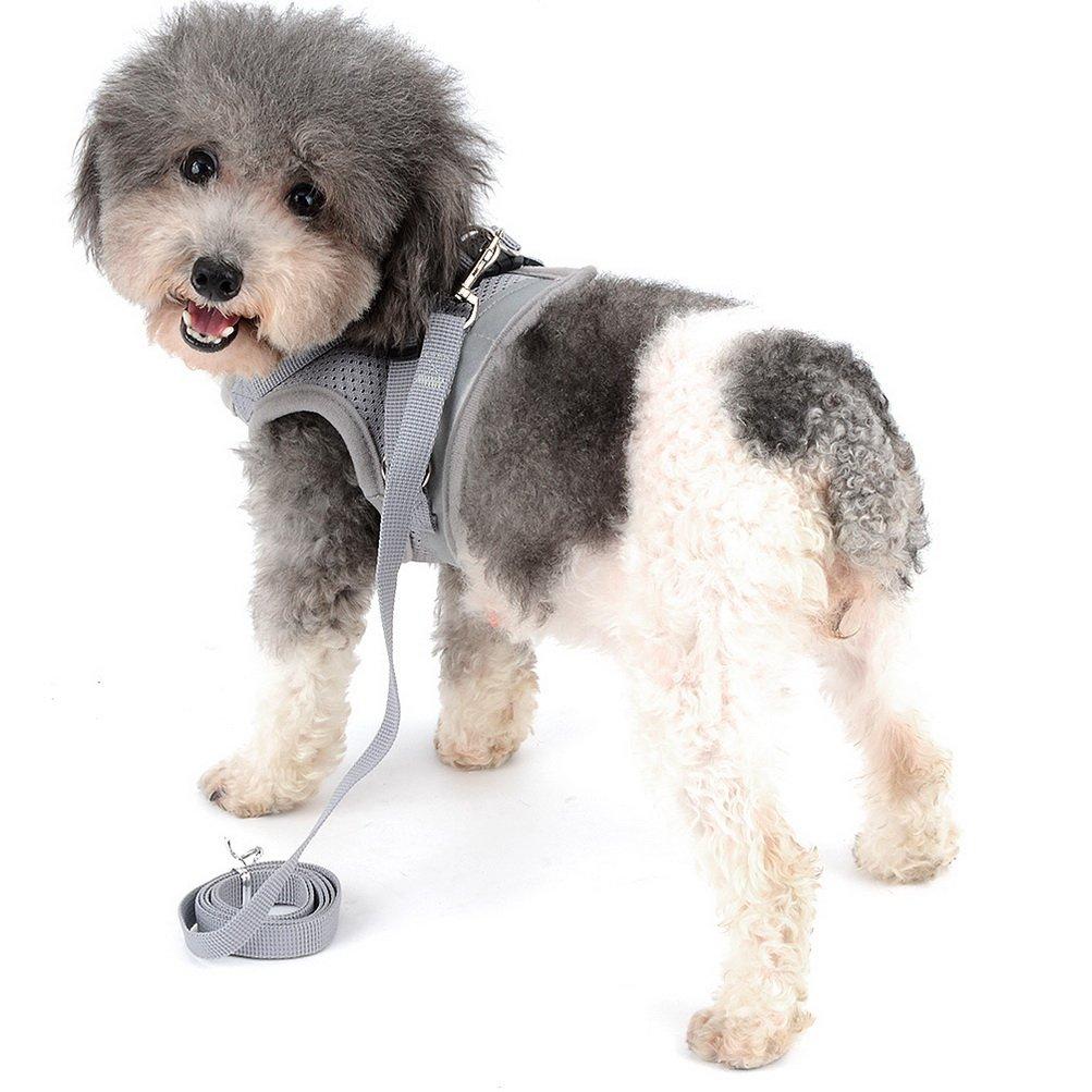 Zunea Set Ham și Lesă pentru Câini Mici și Ham din Plasă Respirabilă cu Reflectorizant Sigur și Ușor Ajustabil și Ușor de Pus și Scos