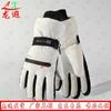 Longxia Winter Outdoor Ski Gloves