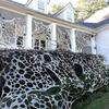 DAZONGE Spider Webs Halloween Decorations, Stretchy Halloween Beef Netting Spider Web, Spooky Spider Web Decorations for Haunted