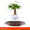 Magnetic Levitation Floating Plant Pot for Home Decoration