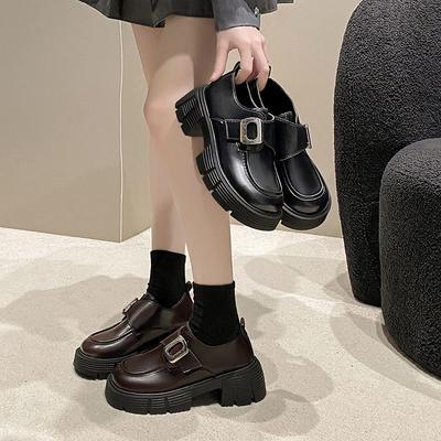 Retro British Mary Jane Small Leather Shoes 2025 Winter New Fashion Small Thick Heel Platform Loafers Women