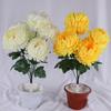 Monitor Brightness Artificial Flower Chrysanthemum Sacrifice