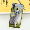 West Highland Terrier Westie For Huawei Nova 3i 7i 8i 11i Y60 Y70 Y90 Y61 Y91 Nova 11 9 10 SE P30 Pro P20 P40 Lite Case