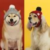 Pet Knit Wool Hat with Ear Openings for Cats and Dogs - Winter Warmth & New Year Style