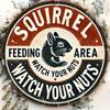 Vintage Aluminum Squirrel Feeding Sign Humorous Indoor Outdoor Garden Decor