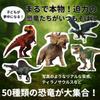 AquaLoach Dinosaur Sticker Set 50 Waterproof PVC Decals T-Rex Triceratops Pteranodon Designs