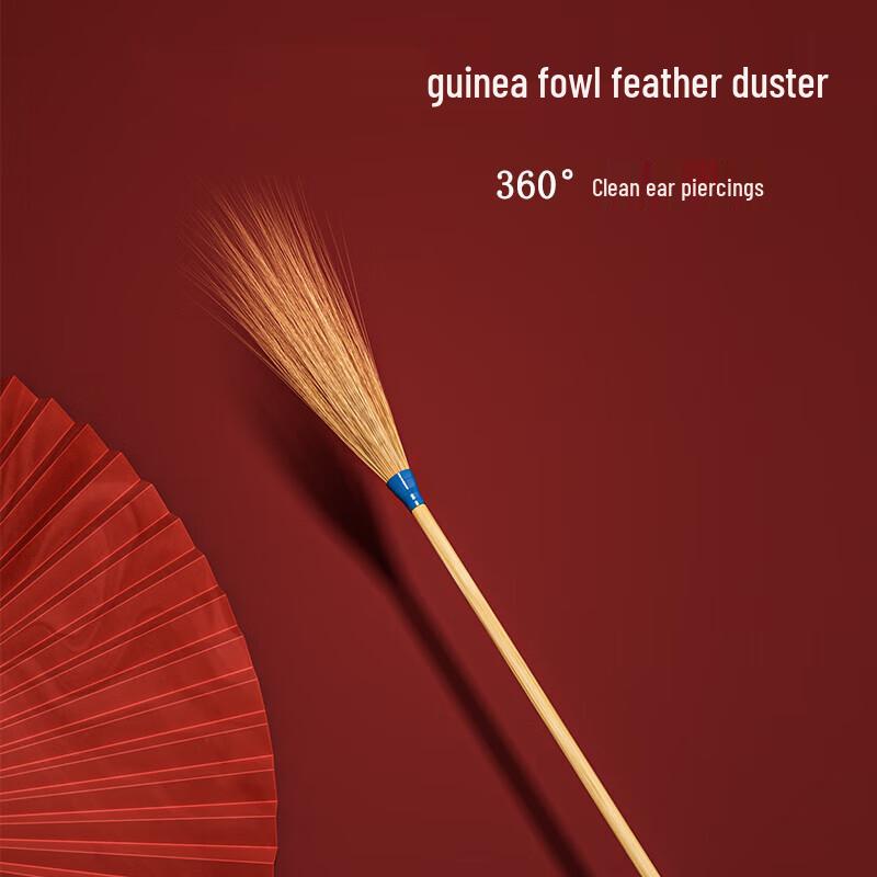 Professional Ear Cleaning & Care Tools