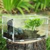 Frogs Insect Hatcher Container Hatching Terrariums Breeding Box Reptile Incubator Insect Supplies