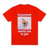 The Government Wants Me In Jail Funnt Cat Meme T Shirts Men's Women Fashion Harajuku T-shirt Cotton Casual Short Sleeve T-shirts