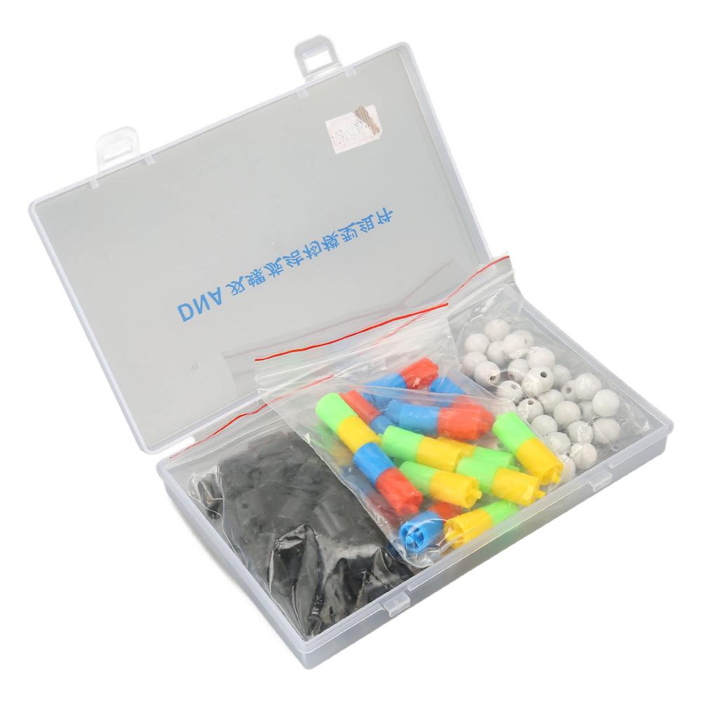 DNA Double Helix Structure Models Educational DNA Double Helix Modesl Kit Biological Science