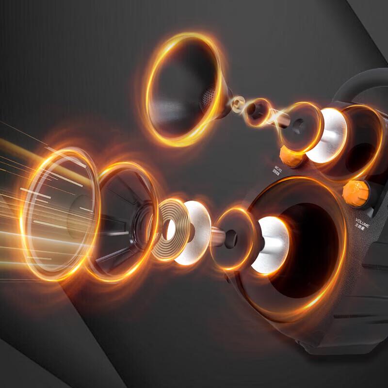 Songchuan International SS3-06PRO Portable Karaoke Speaker CN plug (adapter included)