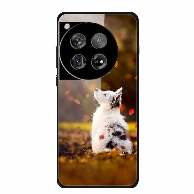 Personalized Seven-Colored Tempered Glass Phone Case for OnePlus 12 - Unisex