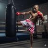 Star Cat Muay Thai Training Kickboxing Boxing Print Shorts Martial Art Boxer Unisex Men Women Kid Pants Fighting Fitness Gym Sport Workout